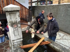 zoppè, i legni umidi - zoppè di cadore