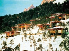 village of borca di cadore _the cottages_archive photo