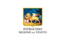 regione-veneto-229x150